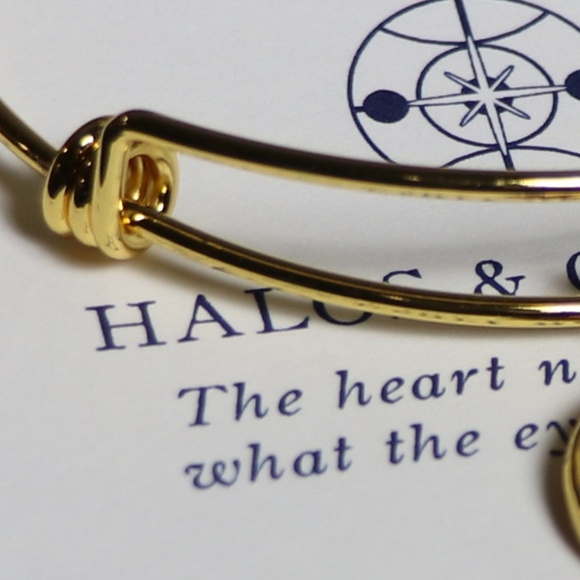 HALOS & GLORIES Compass LOGO - Picture 6 of 6